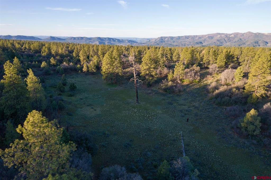 592 Ranchland Drive Pagosa Springs CO 81147