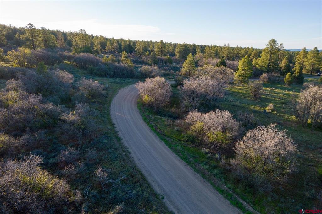 592 Ranchland Drive Pagosa Springs CO 81147