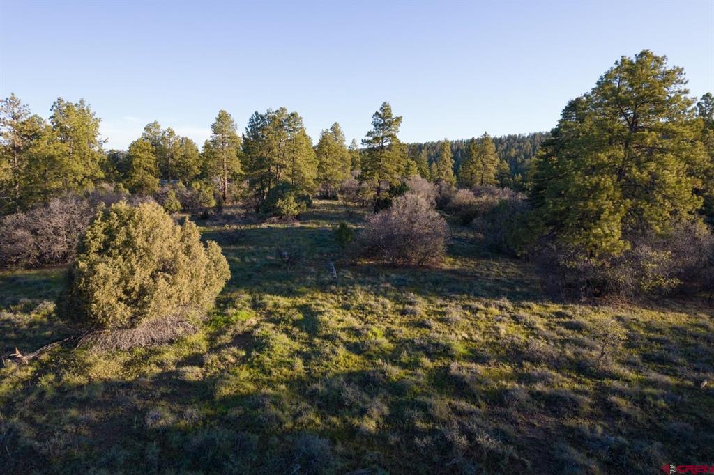 592 Ranchland Drive Pagosa Springs CO 81147