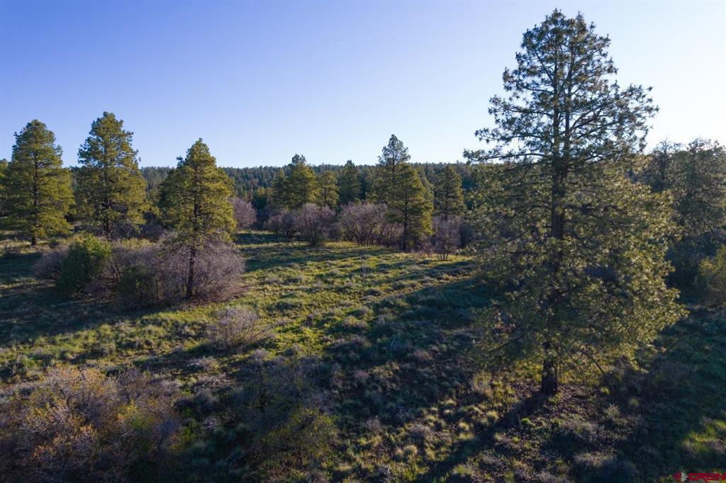 592 Ranchland Drive Pagosa Springs CO 81147