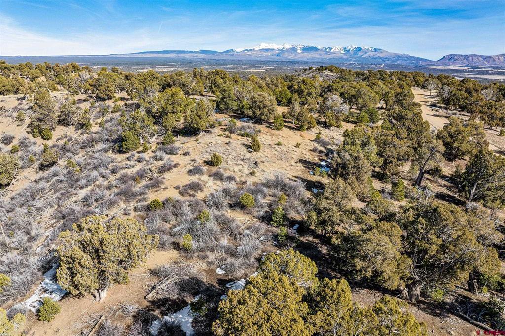 Tbd Road 35.3 Mancos CO 81328