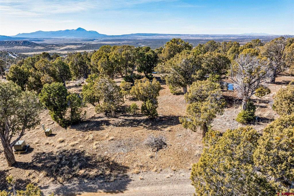 Tbd Road 35.3 Mancos CO 81328