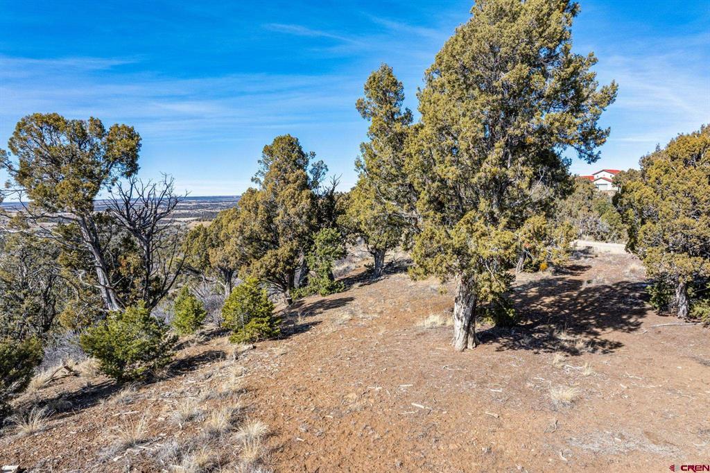 Tbd Road 35.3 Mancos CO 81328