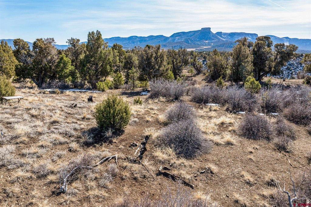 Tbd Road 35.3 Mancos CO 81328