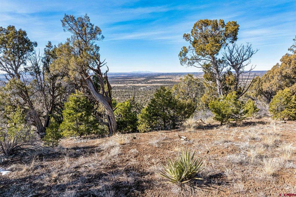 Tbd Road 35.3 Mancos CO 81328
