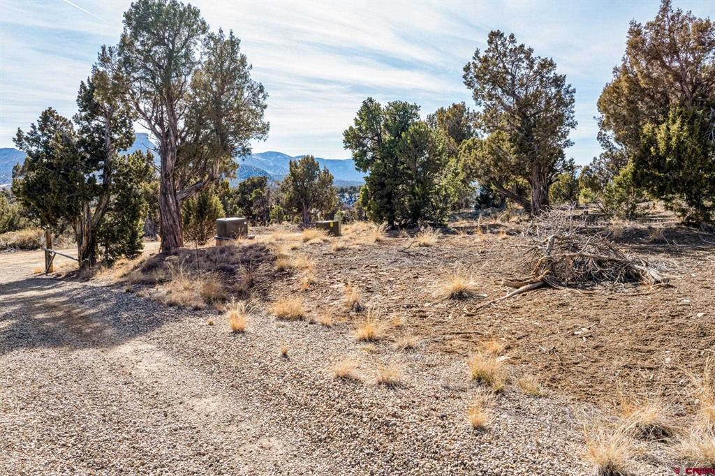 Tbd Road 35.3 Mancos CO 81328