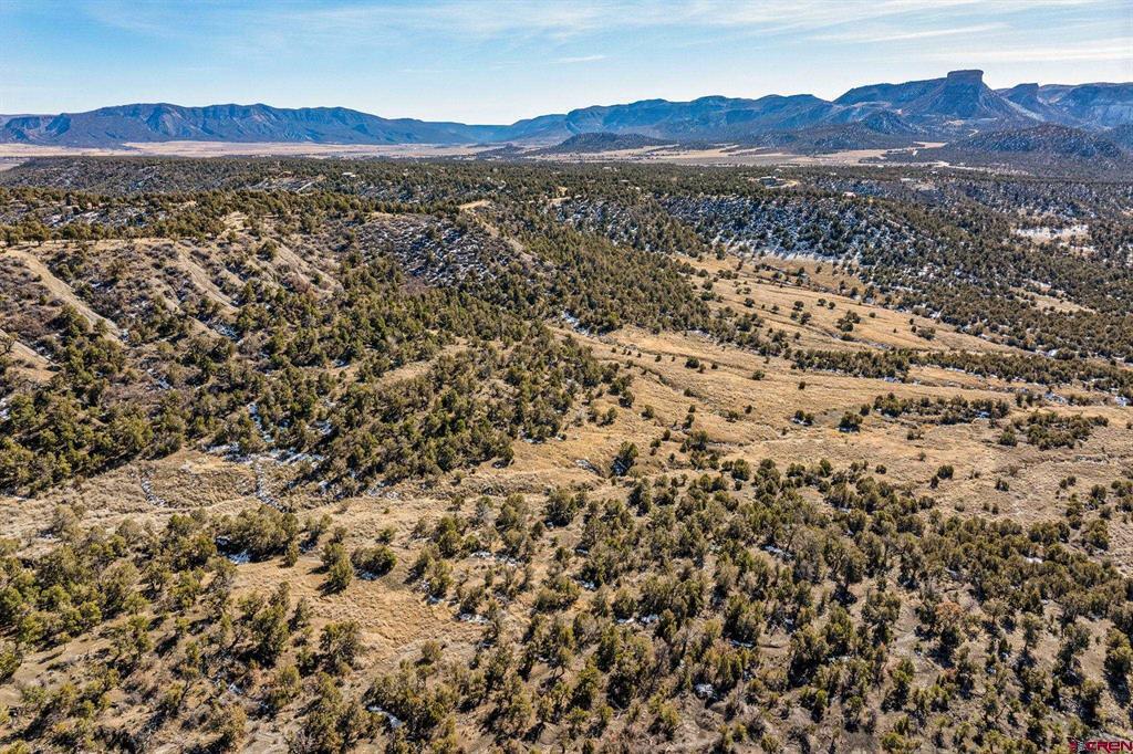 Tbd Road 35.3 Mancos CO 81328