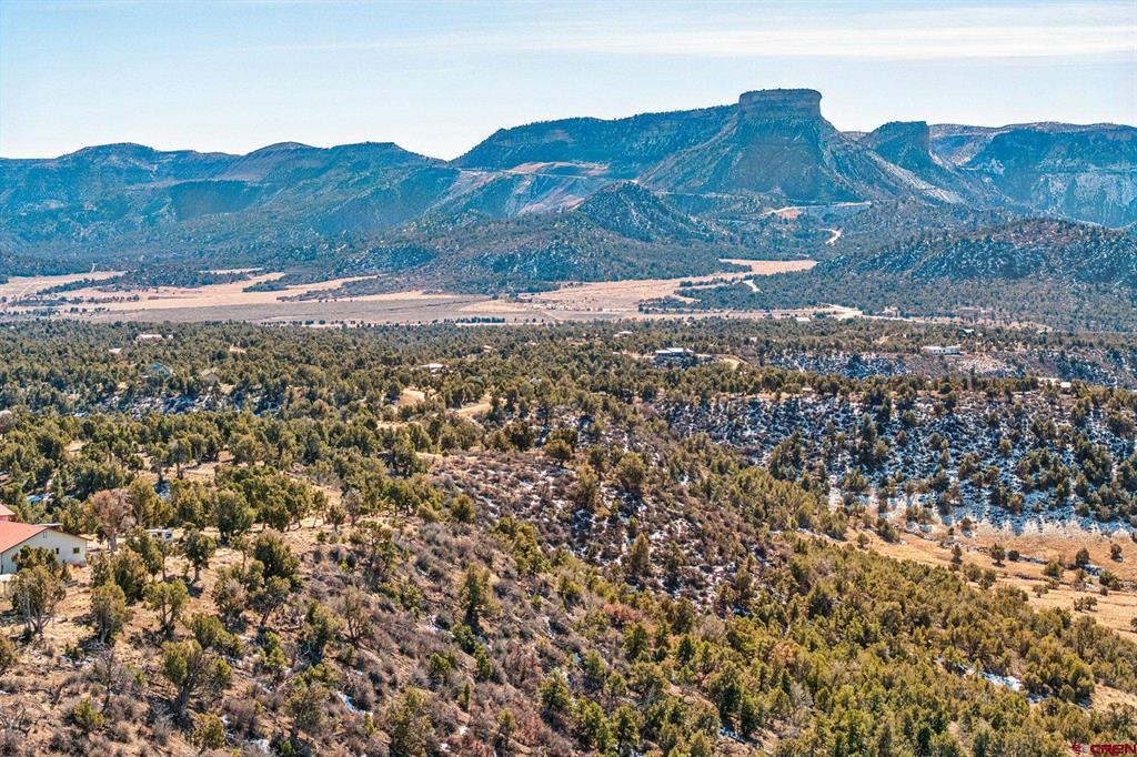 Tbd Road 35.3 Mancos CO 81328