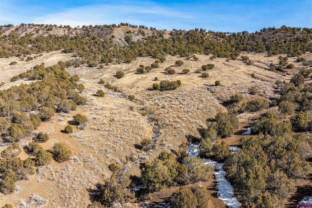 Tbd Road 35.3 Mancos CO 81328