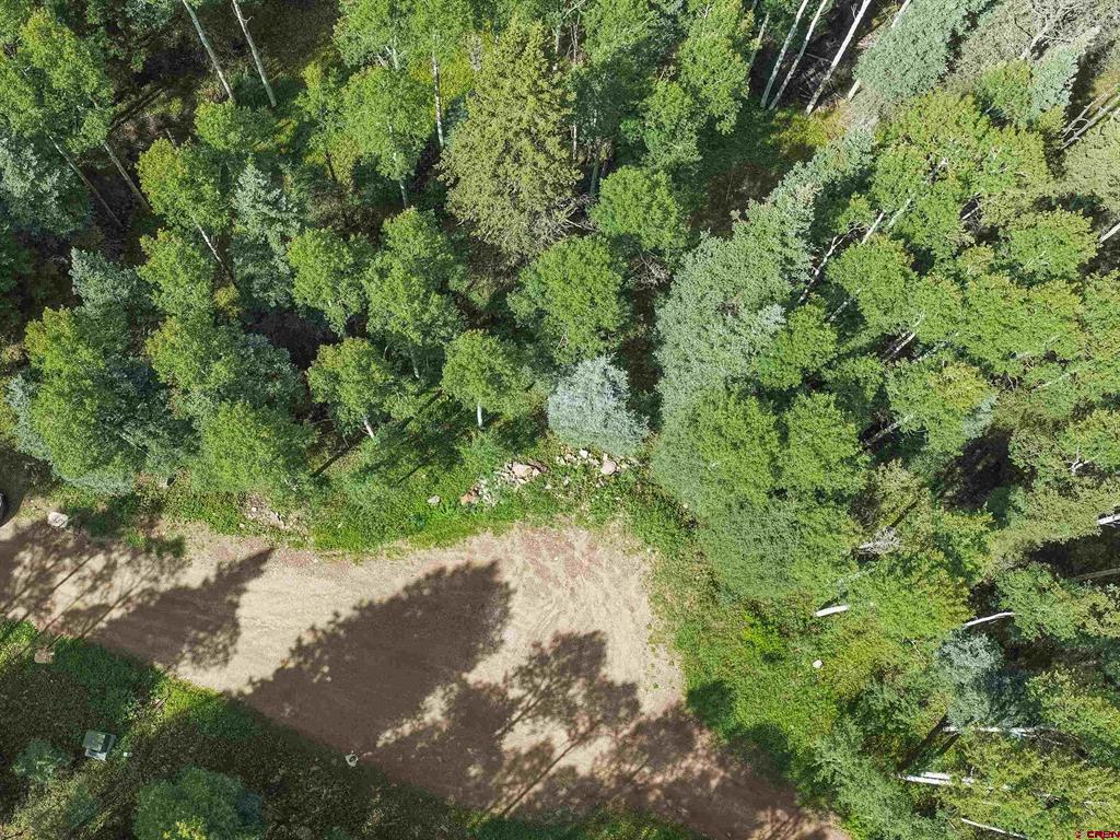 Tbd Road 55.9 Lot 3 Rico CO 81332
