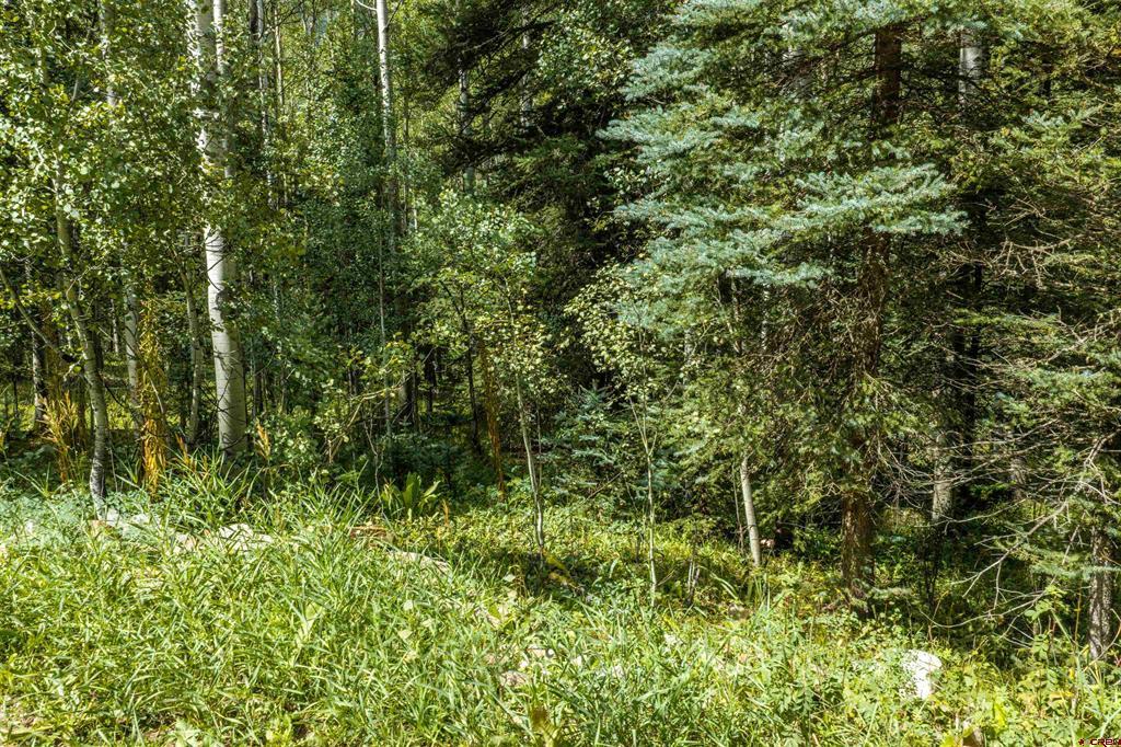 Tbd Road 55.9 Lot 3 Rico CO 81332