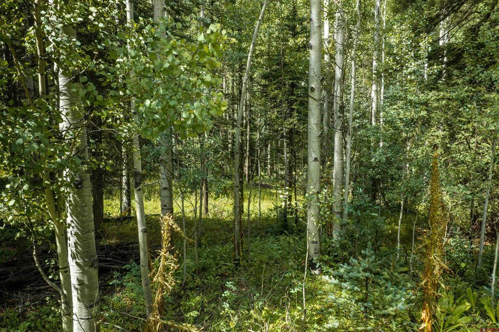Tbd Road 55.9 Lot 3 Rico CO 81332