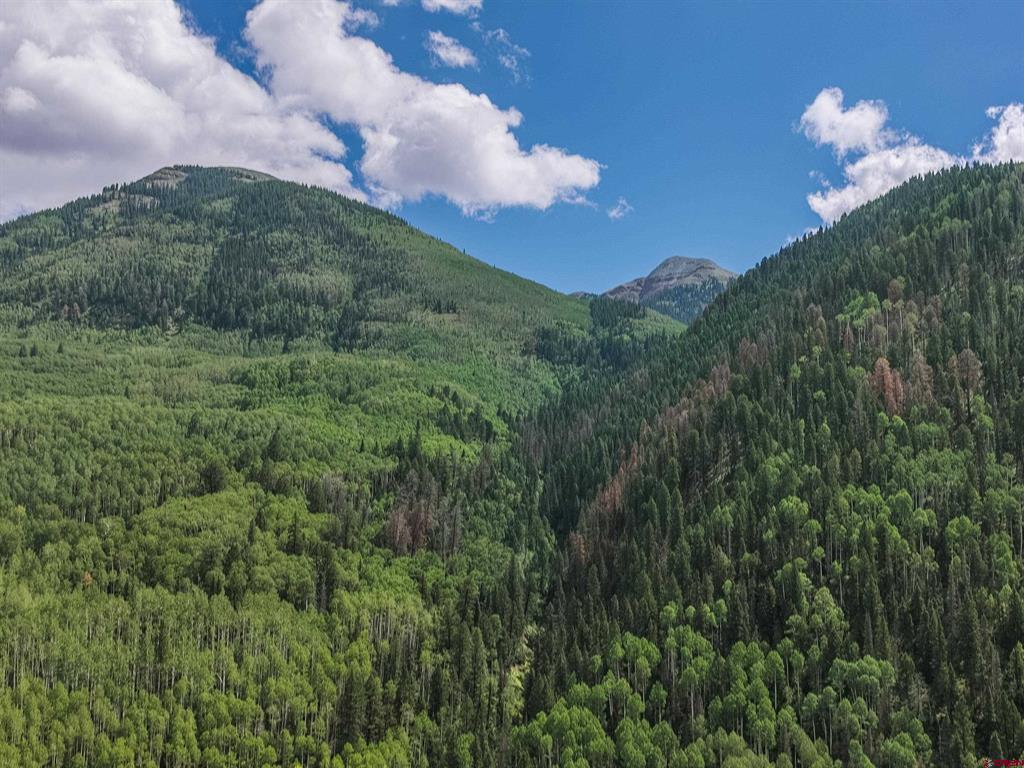 Tbd Road 55.9 Lot 3 Rico CO 81332