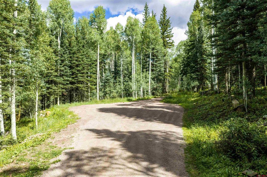 Tbd Road 55.9 Lot 3 Rico CO 81332