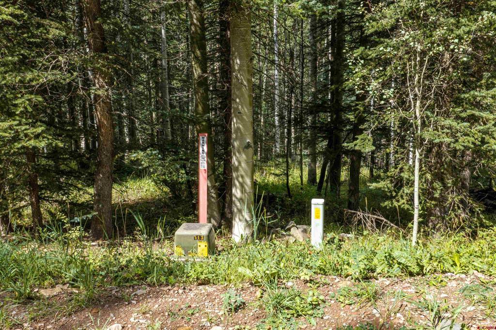 Tbd Road 55.9 Lot 3 Rico CO 81332