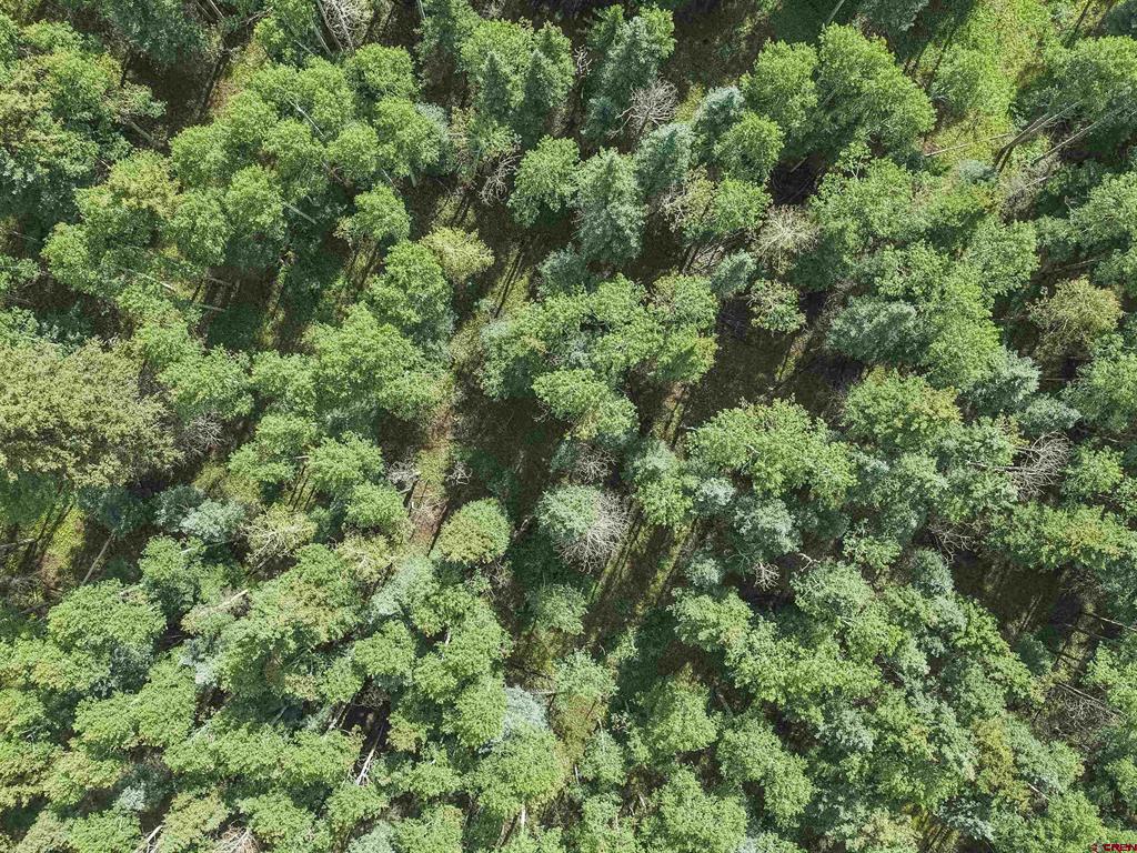 Tbd Road 55.9 Lot 3 Rico CO 81332