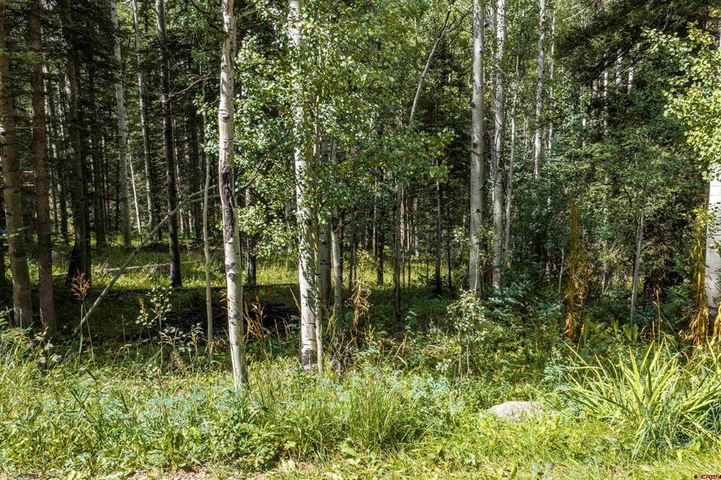 Tbd Road 55.9 Lot 3 Rico CO 81332