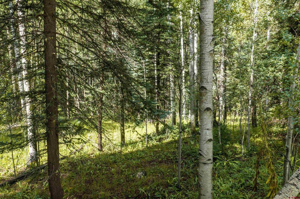Tbd Road 55.9 Lot 3 Rico CO 81332