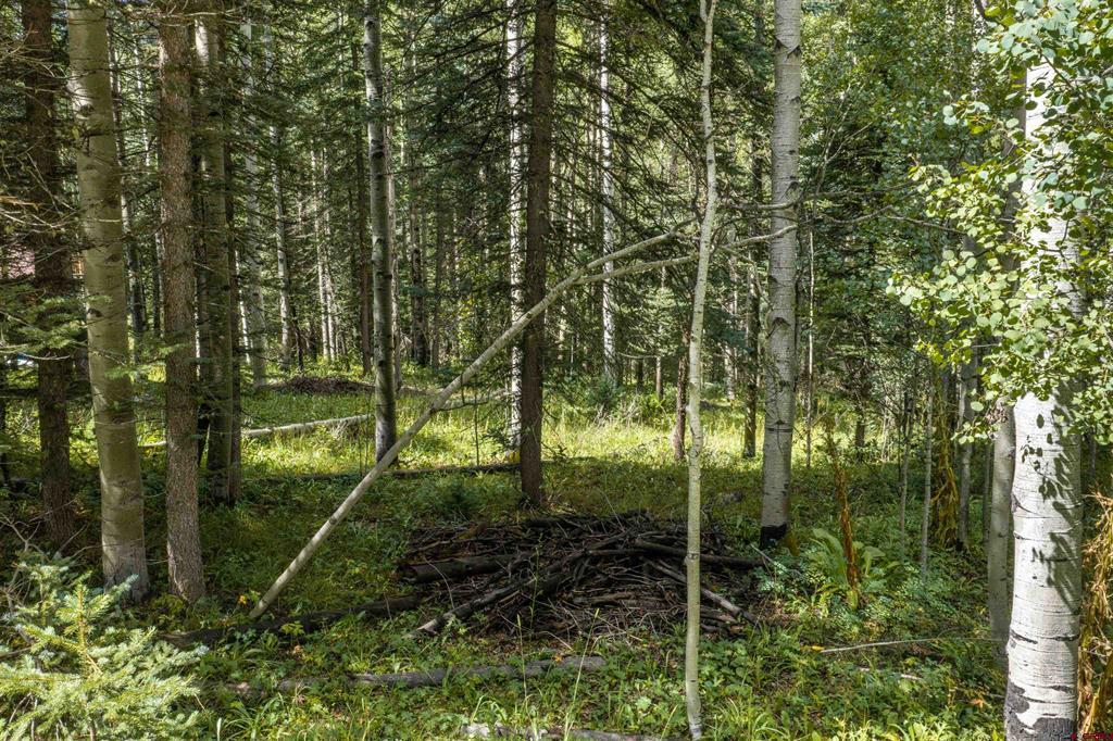 Tbd Road 55.9 Lot 3 Rico CO 81332