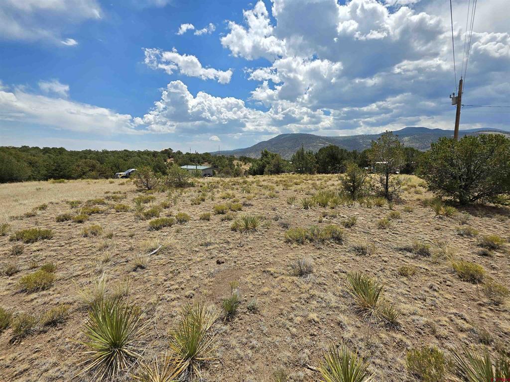 613 Comanche Peak Road South Fork CO 81154