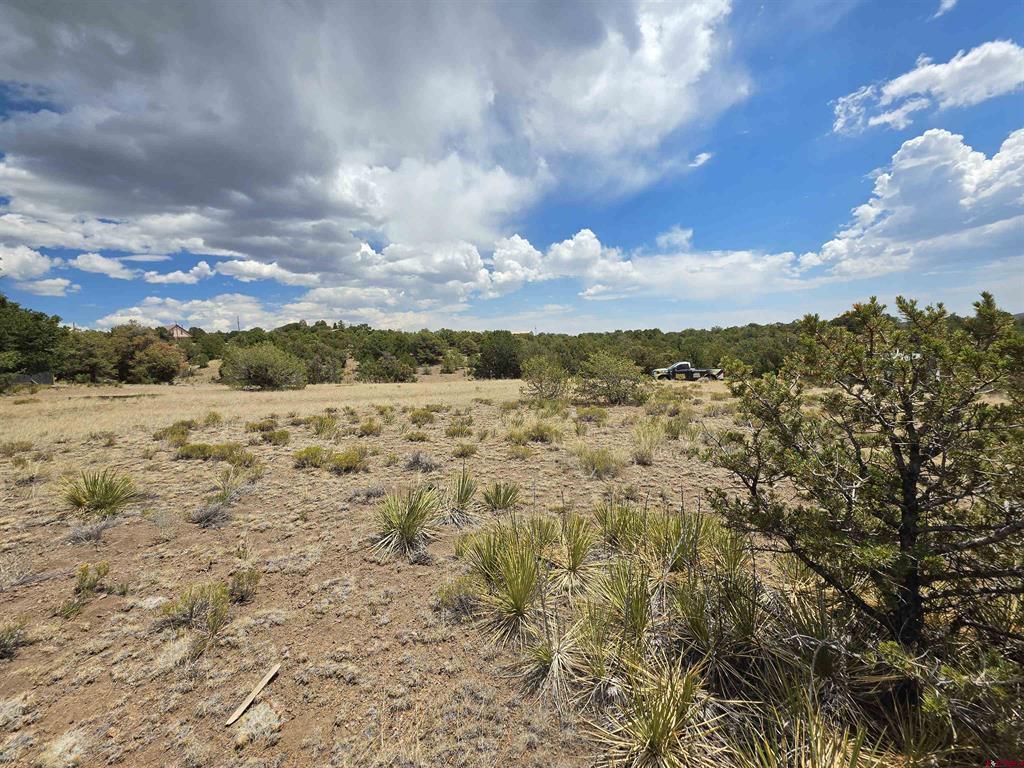613 Comanche Peak Road South Fork CO 81154