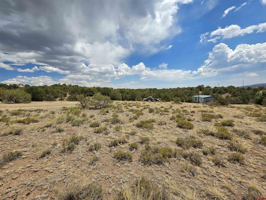 613 Comanche Peak Road South Fork CO 81154