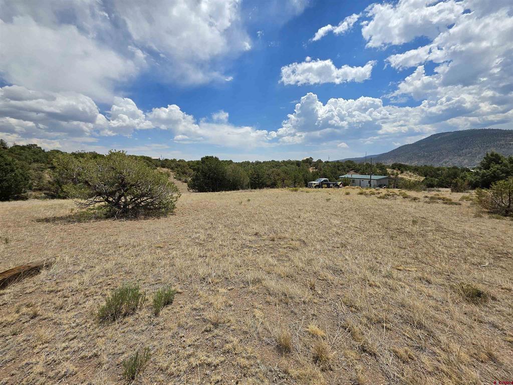 613 Comanche Peak Road South Fork CO 81154