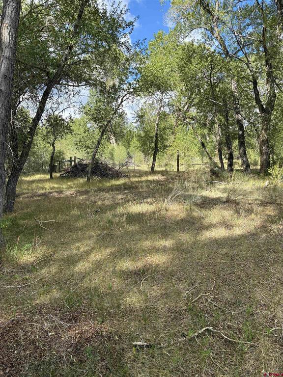 29622 State Highway 17 Antonito CO 81120