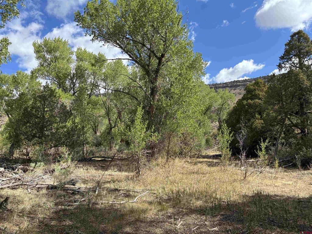 29622 State Highway 17 Antonito CO 81120