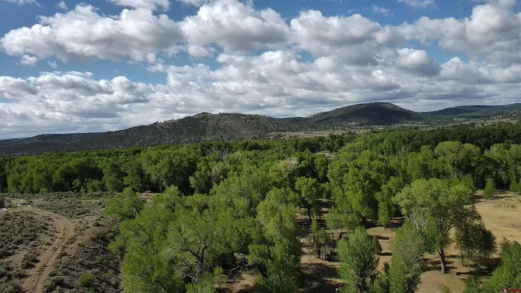 29622 State Highway 17 Antonito CO 81120