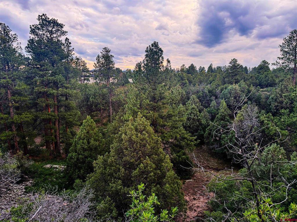 190 Hummingbird Trail Ridgway CO 81432