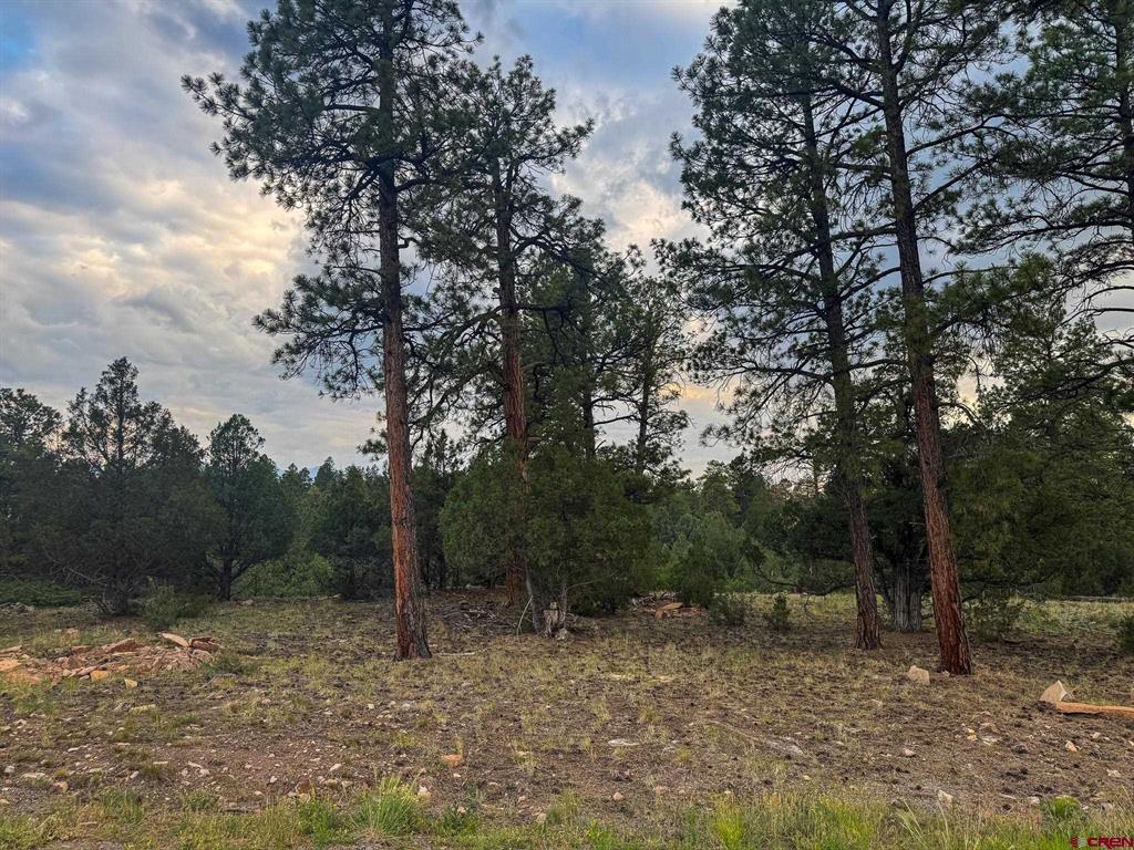 190 Hummingbird Trail Ridgway CO 81432