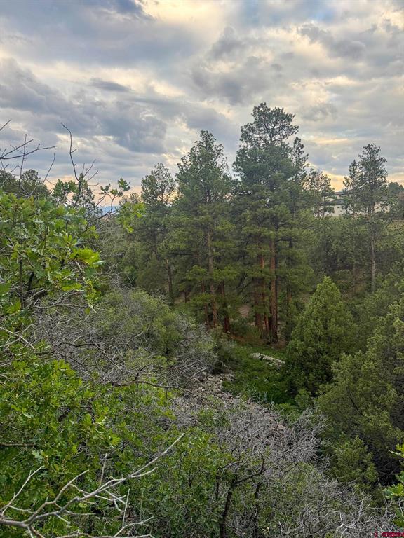 190 Hummingbird Trail Ridgway CO 81432