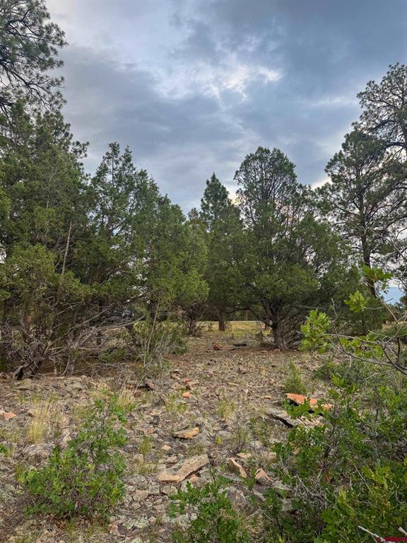 190 Hummingbird Trail Ridgway CO 81432