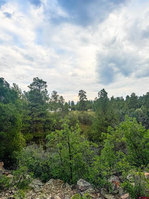 190 Hummingbird Trail Ridgway CO 81432