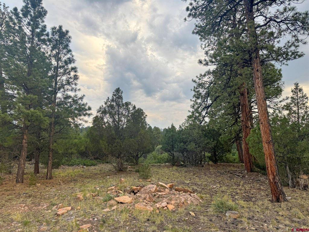 190 Hummingbird Trail Ridgway CO 81432