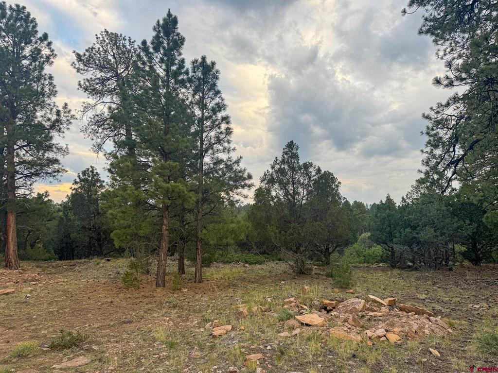 190 Hummingbird Trail Ridgway CO 81432