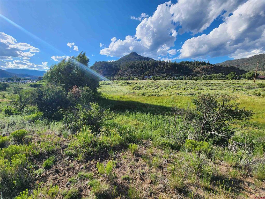 464 Highway 149 South Fork CO 81154