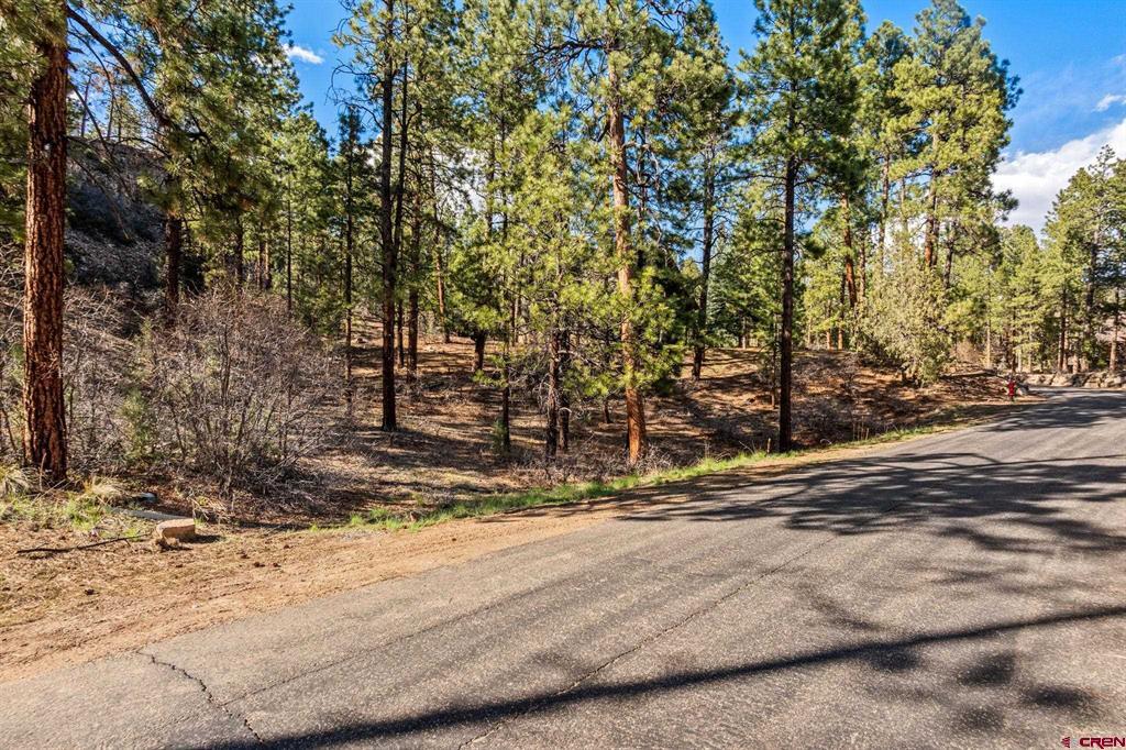 47 Ambush Canyon Durango CO 81301