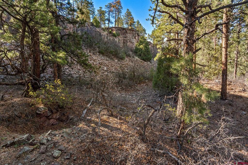 47 Ambush Canyon Durango CO 81301
