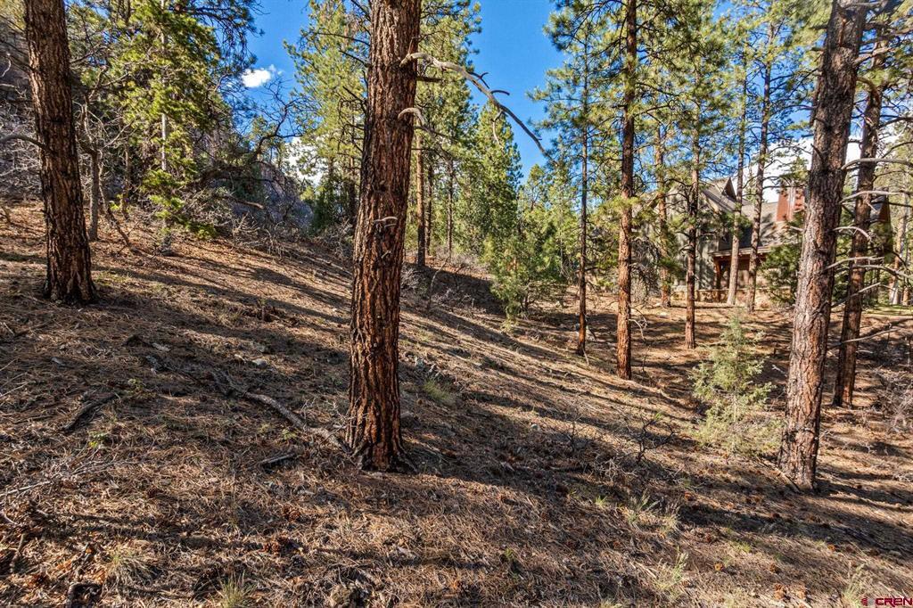 47 Ambush Canyon Durango CO 81301