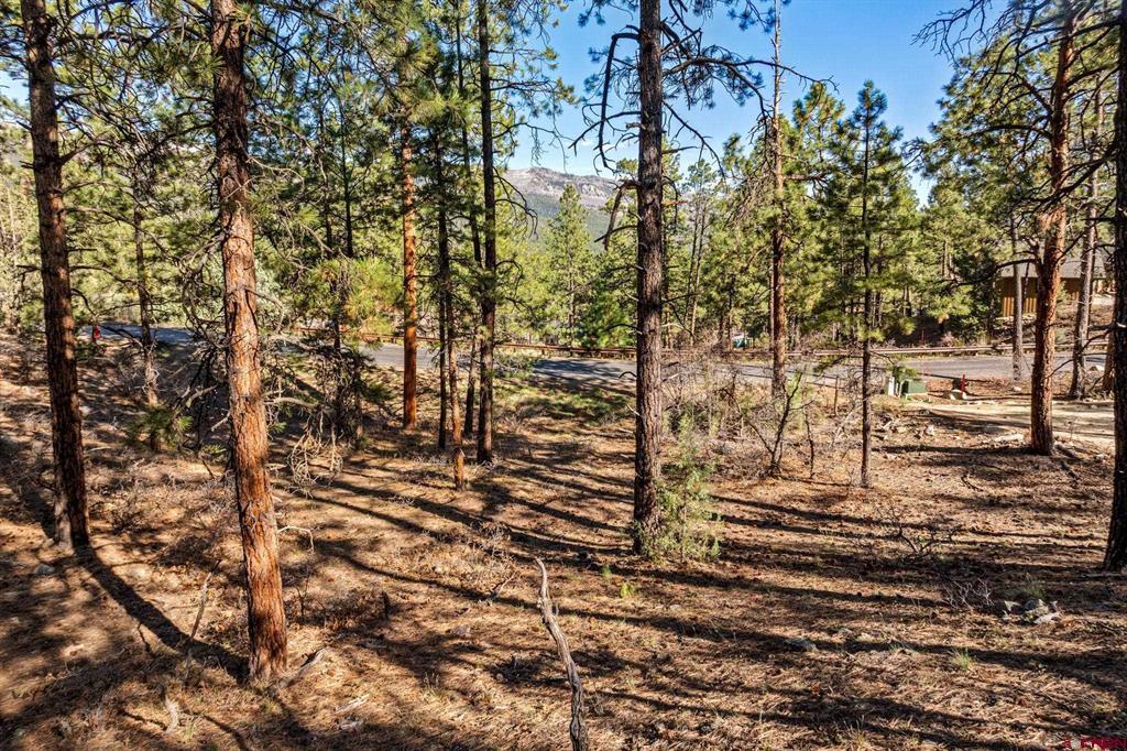 47 Ambush Canyon Durango CO 81301