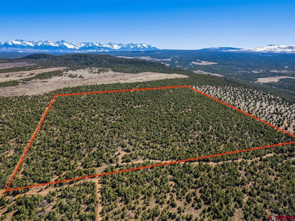 Tbd Pinion Ridge Road Montrose CO 81403