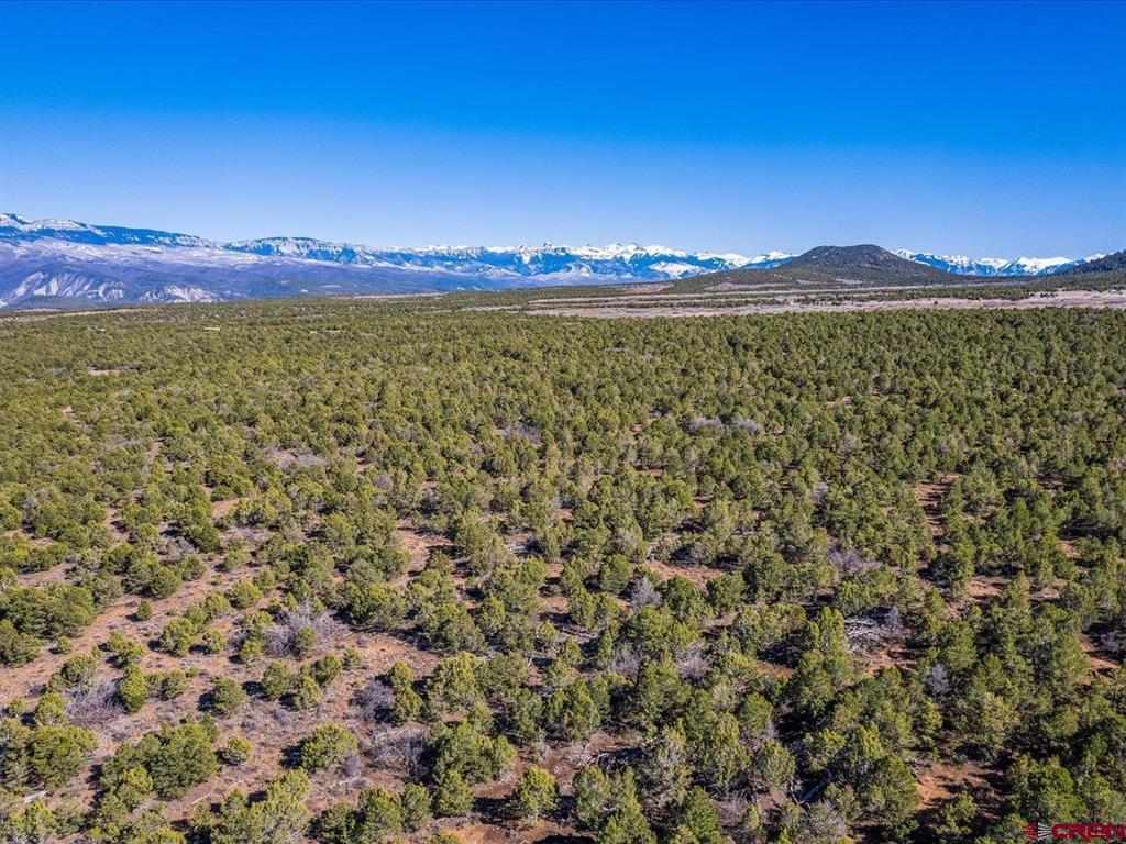 Tbd Pinion Ridge Road Montrose CO 81403