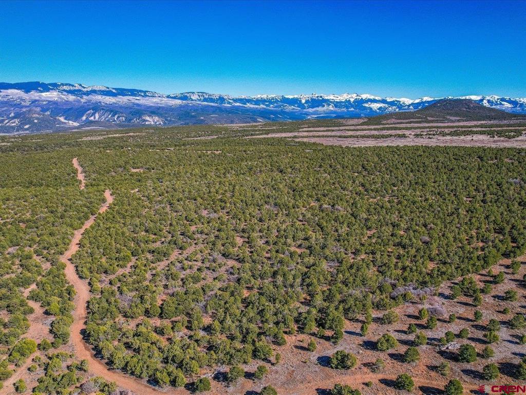 Tbd Pinion Ridge Road Montrose CO 81403
