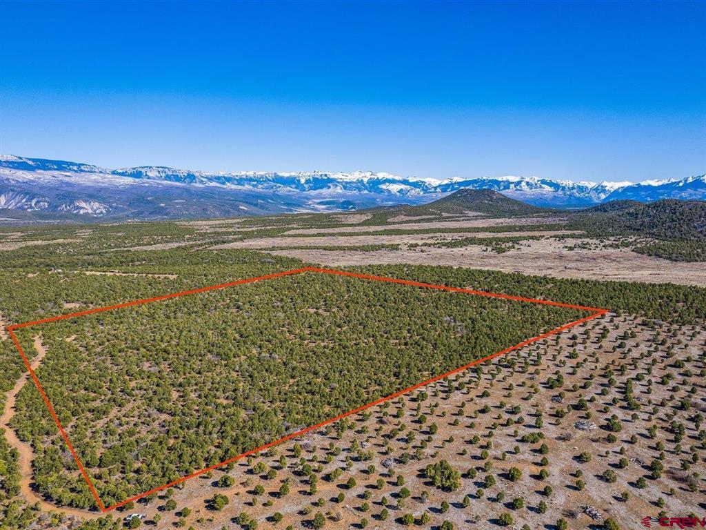 Tbd Pinion Ridge Road Montrose CO 81403