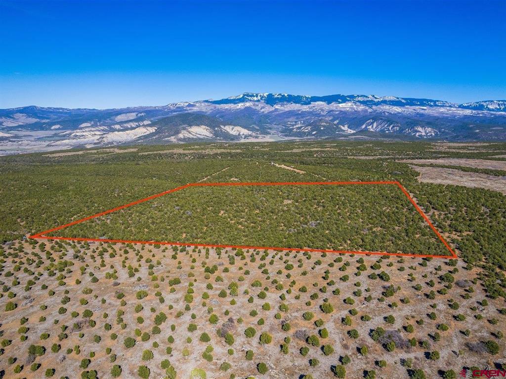 Tbd Pinion Ridge Road Montrose CO 81403