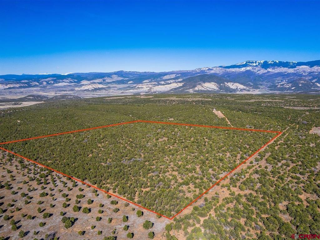 Tbd Pinion Ridge Road Montrose CO 81403