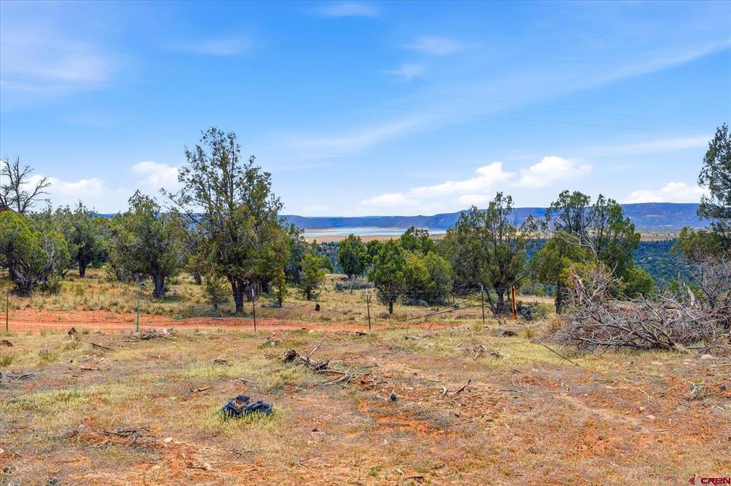 144 Pinon Hills Circle Arboles CO 81122