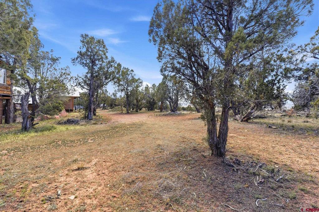 144 Pinon Hills Circle Arboles CO 81122